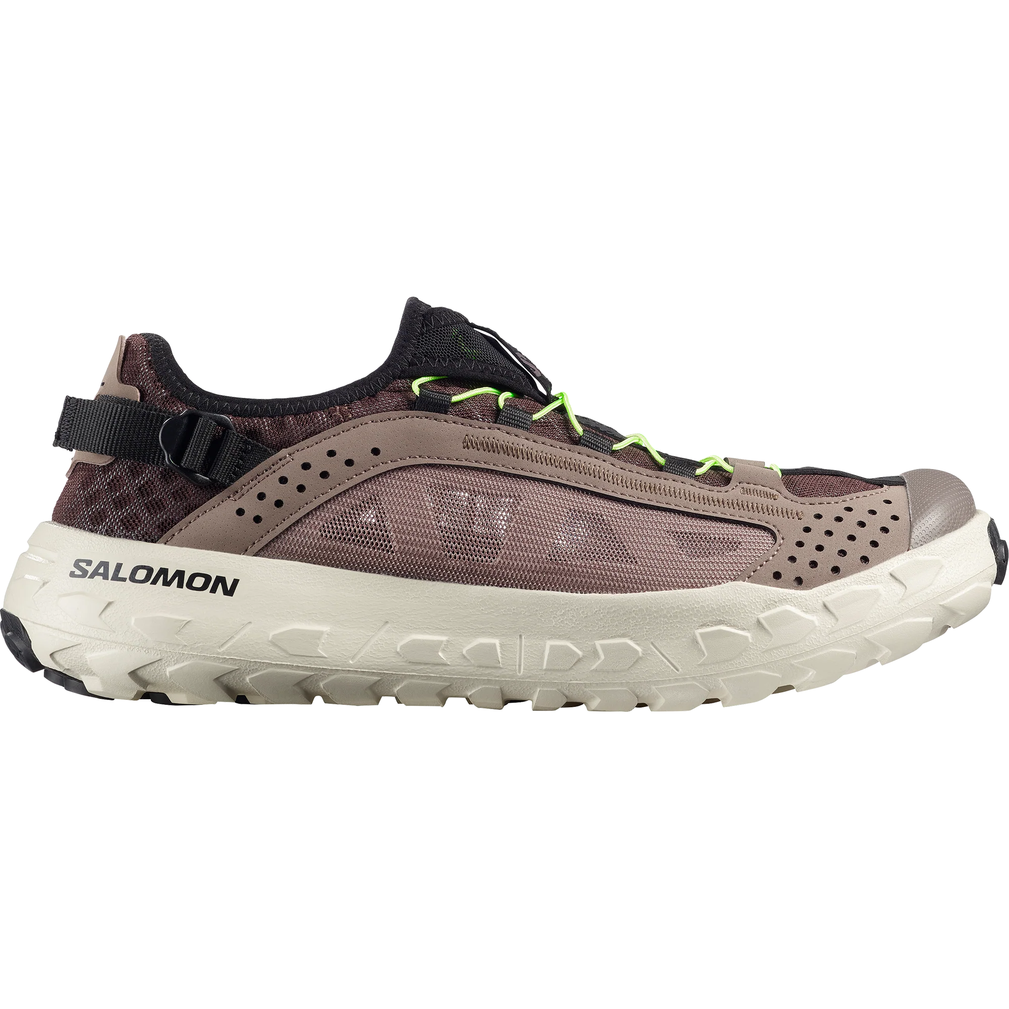 SOLAMPHIBIAN