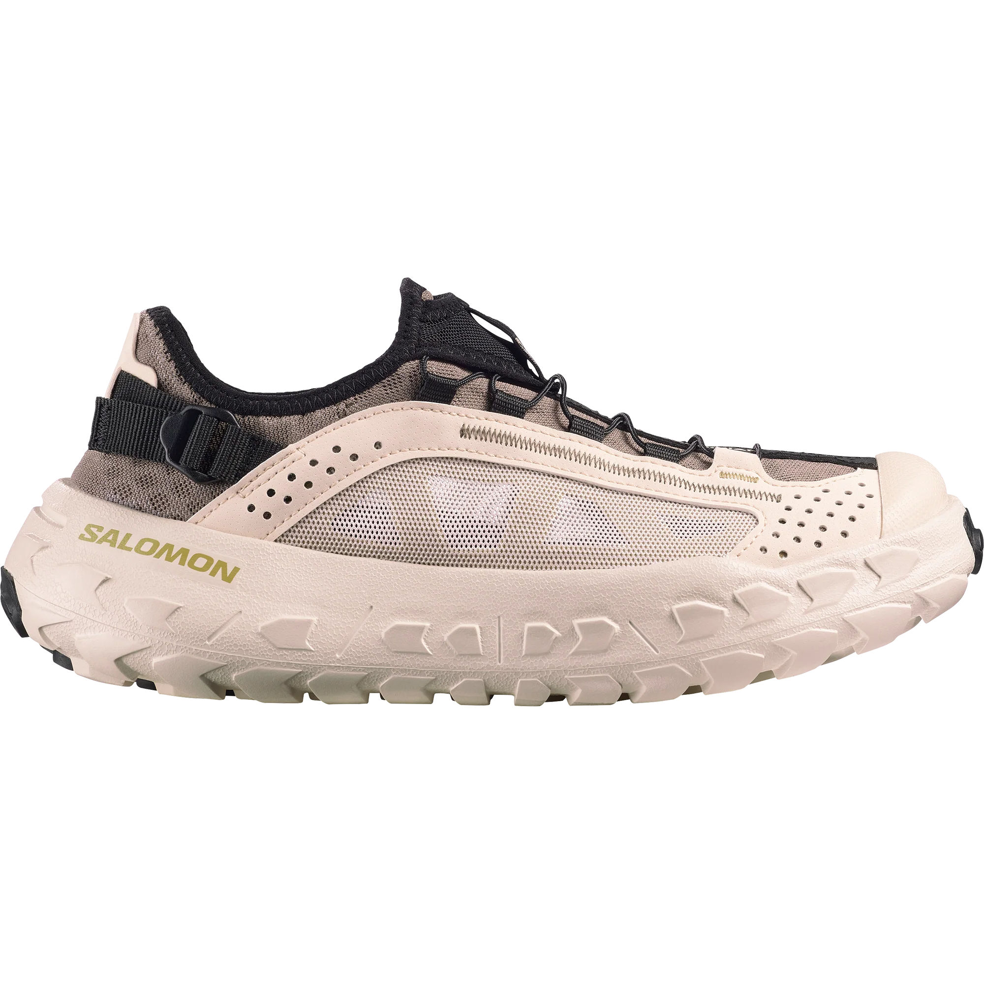 SOLAMPHIBIAN