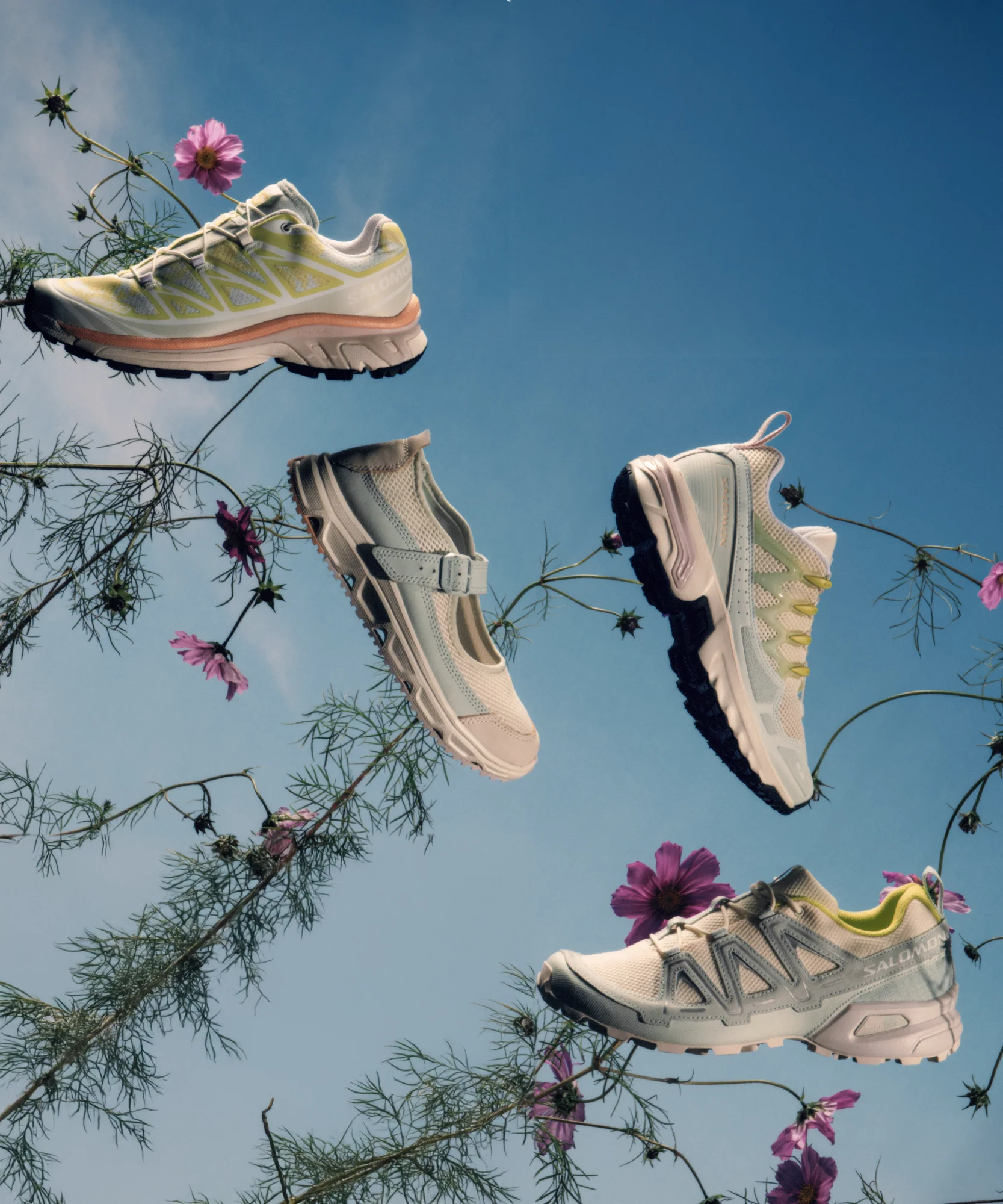 XT-6 ALPEN BLOSSOM - Image 13